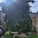Bed and Breakfast D'hotes - Le Magnolia Καρκασόν