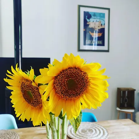 Bed & Breakfast D'hotes - Le Magnolia