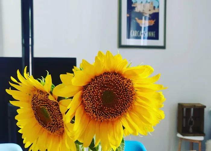 ベッド・アンド・ブレックファスト D'hotes - Le Magnolia