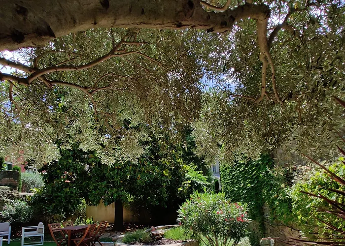 D'hotes - Le Magnolia 4* カルカソンヌ