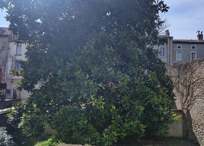 ベッド・アンド・ブレックファスト D'hotes - Le Magnolia カルカソンヌ